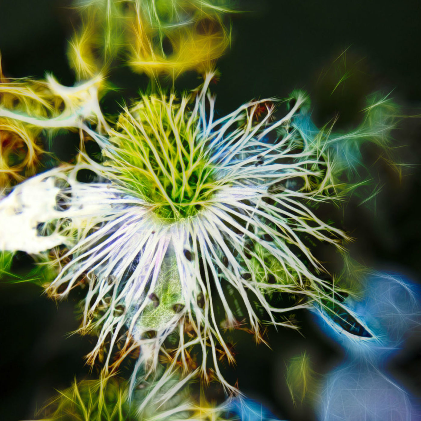 nature. electrified. - flora