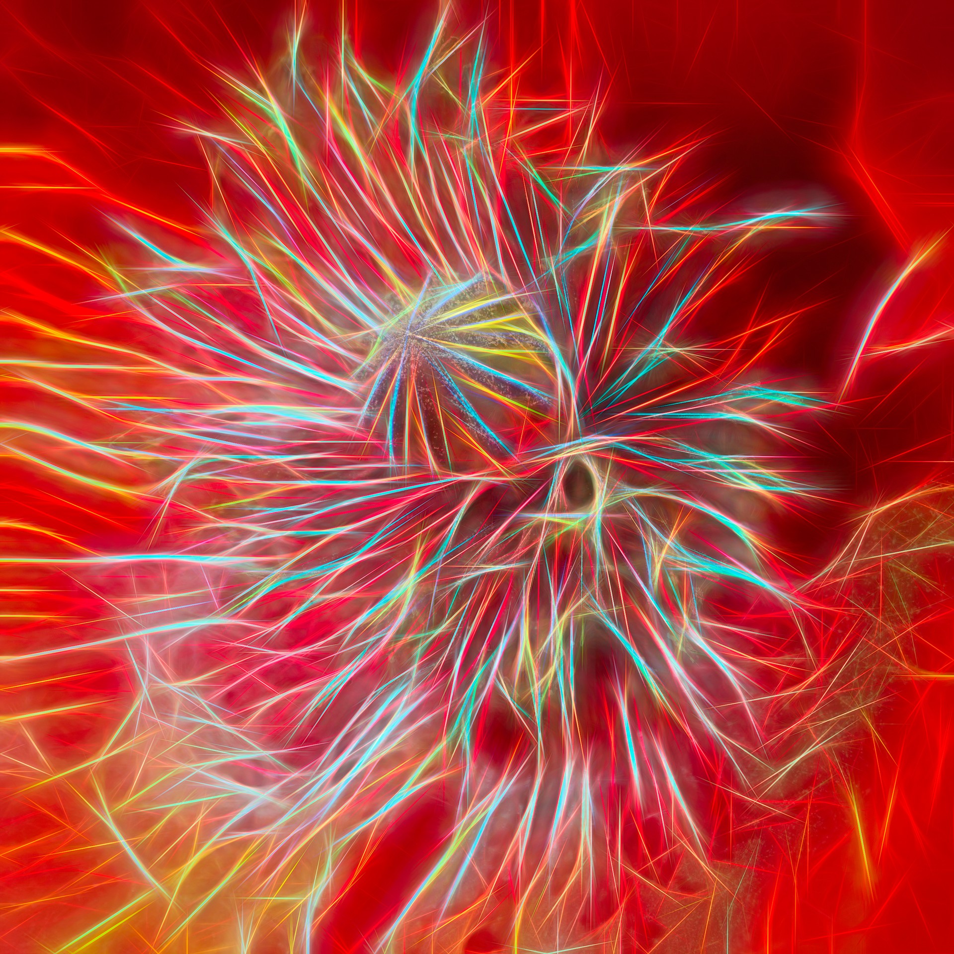 nature. electrified. - flora - Mohn - Papaver - Poppy - ポピー