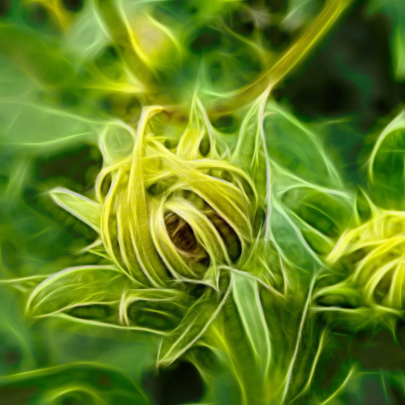 nature. electrified. - flora